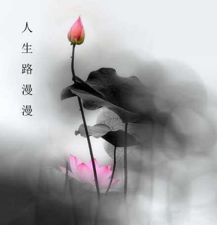 人生路漫漫经典文案,人生路漫漫难免会受伤