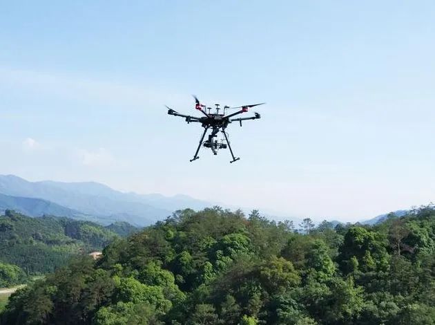 智慧林业物联网,智能智慧林业