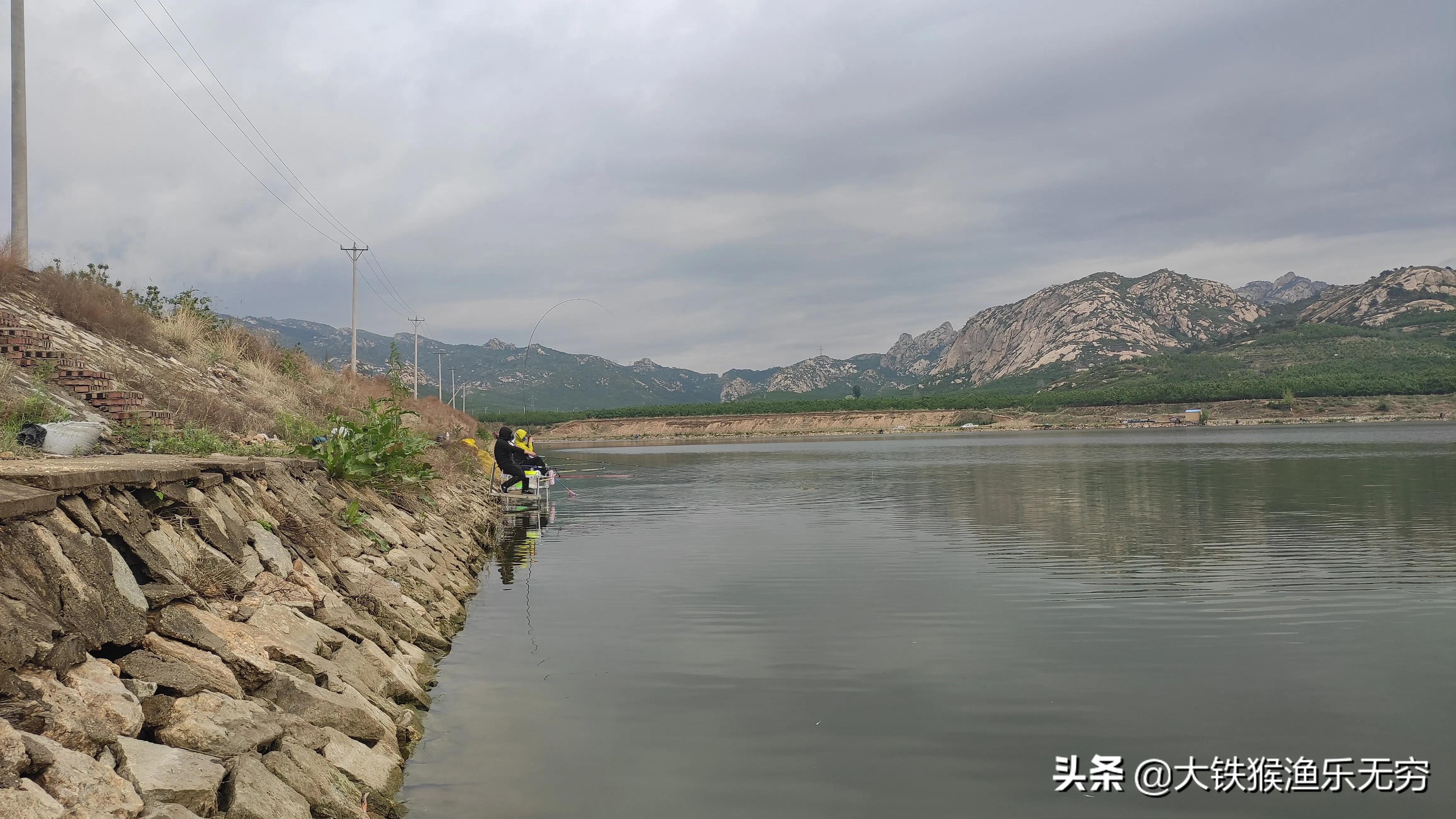 钓鲢鳙鱼最简单有效的办法,老钓友分享钓法