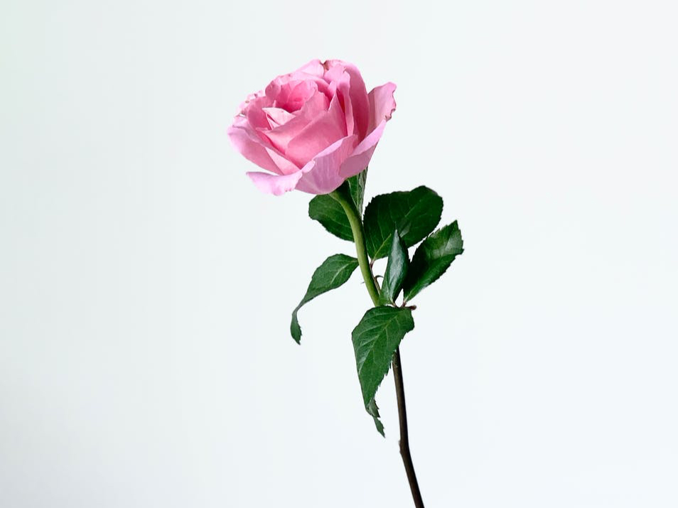 “不结婚，老了是不是真的很惨”，三个独居老人说出了实情