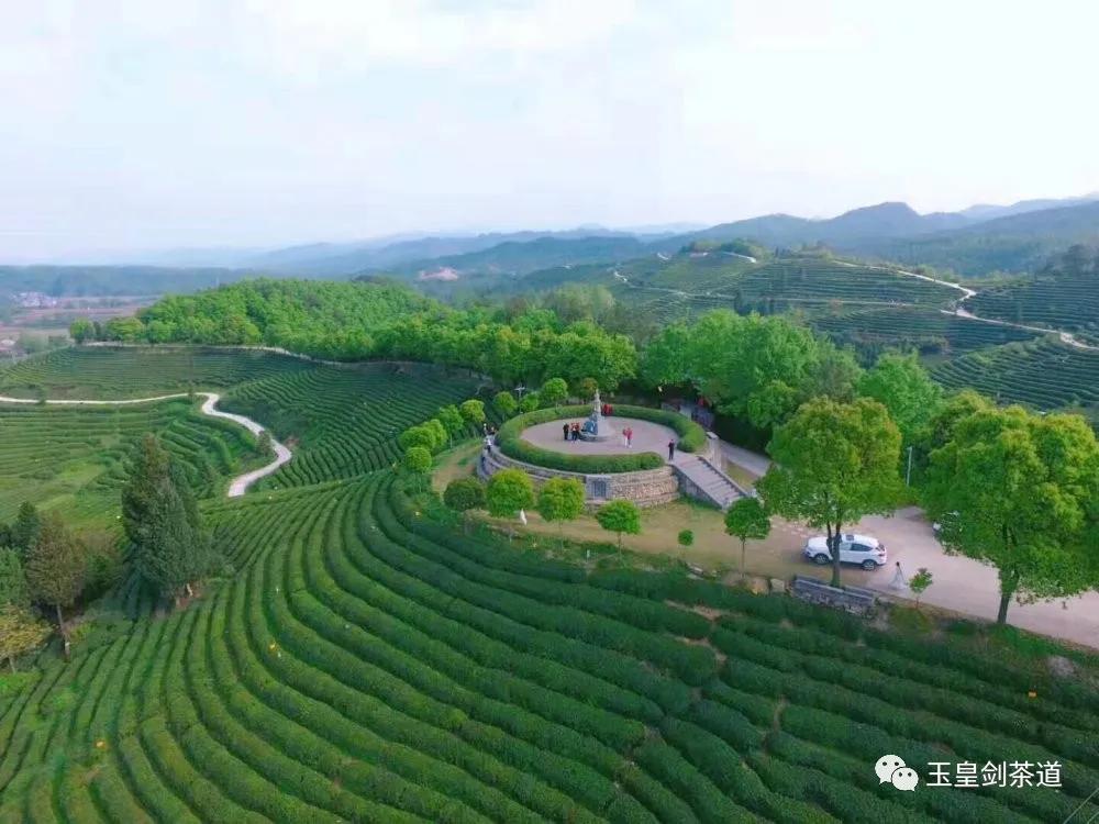 勿错过,湖北不负时光的好茶好选择