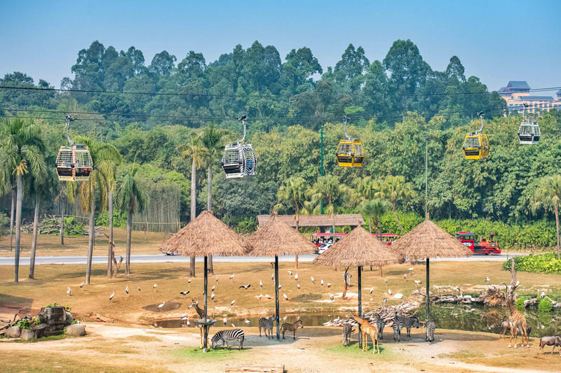 广州长隆野生动物世界旅游攻略,长隆野生动物世界攻略2-3天广州游