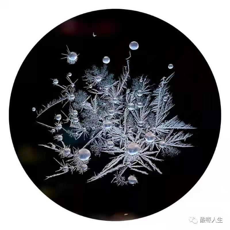 《散文美刊》「霜花中的梦想」|王德明(诵读:丁丁)