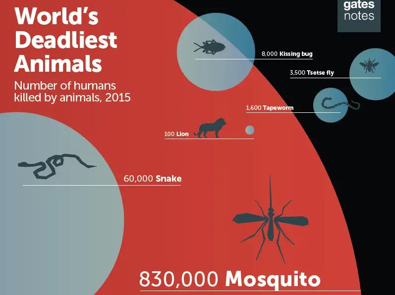 被“青春伤痛文学”冤枉了十几年，金鱼：我的记忆真的不止7秒