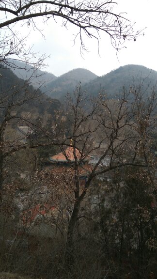 自觉履行岗位职责,职场角色的转变意味着责任和担当