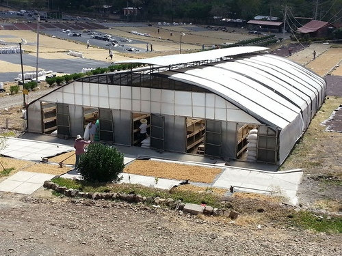 肯尼亚咖啡豆产区,世界四大产区顶级阿拉比卡咖啡豆