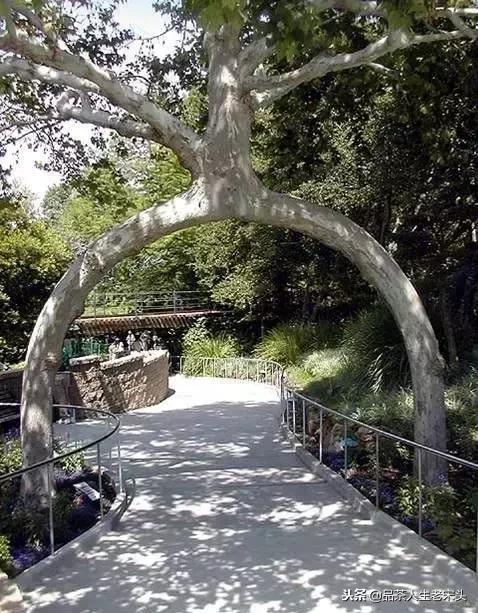 最新世界十大“怪”，最后一个太绝了！