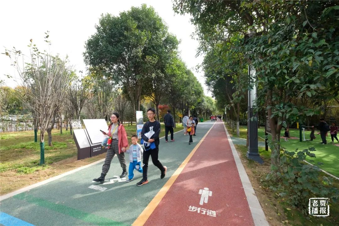 洛阳最新免费公园,洛阳公园免费