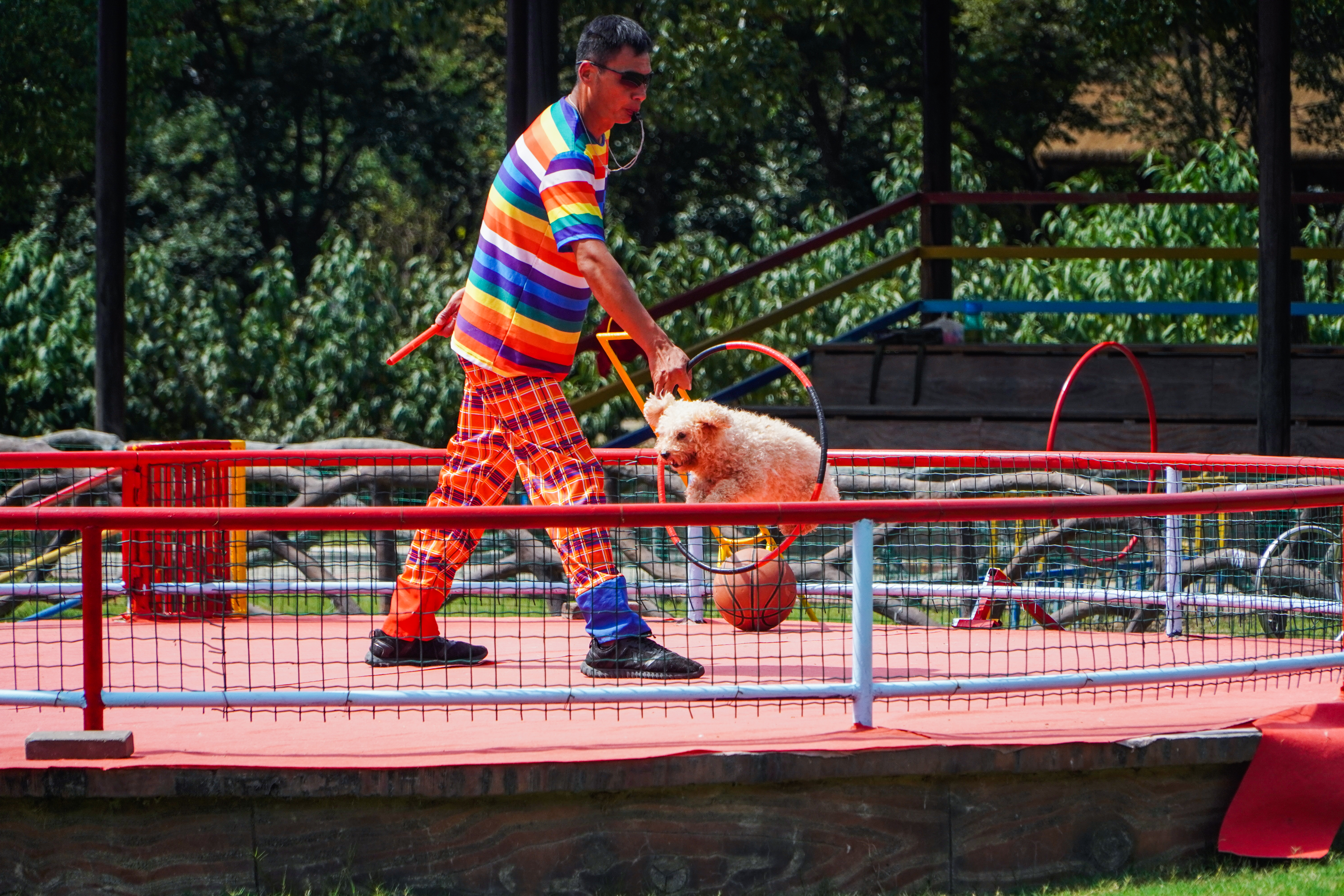 安吉田园嘉乐比乐园一日游攻略,秋季安吉旅游攻略图文并茂