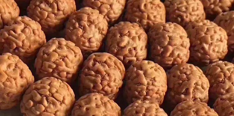 小金刚菩提梅花纹路什么价位,小金刚菩提什么纹路的最好