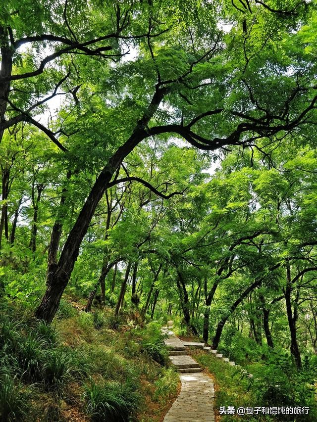 在威海菊花顶社区吃食堂进古陌岭运动健康公园宜居好环境