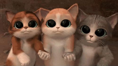 绥芬河俄货网红,绥芬河卖俄货的网红