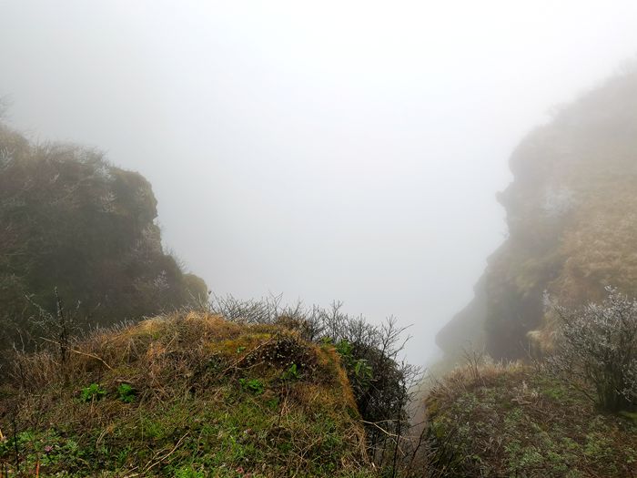 雨中的梵净山景色,烟雨梵净山