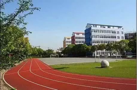 上海菜小的逆袭，最值得关注的10所公办小学！