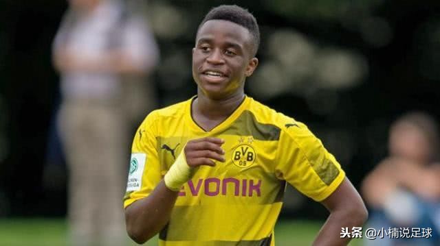 装甲车的未来,德国战车的未来