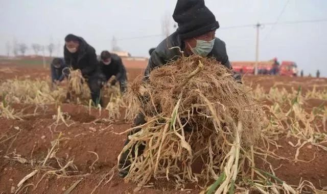 疫情期间你还能熬住吗,疫情期间你还熬得住吗