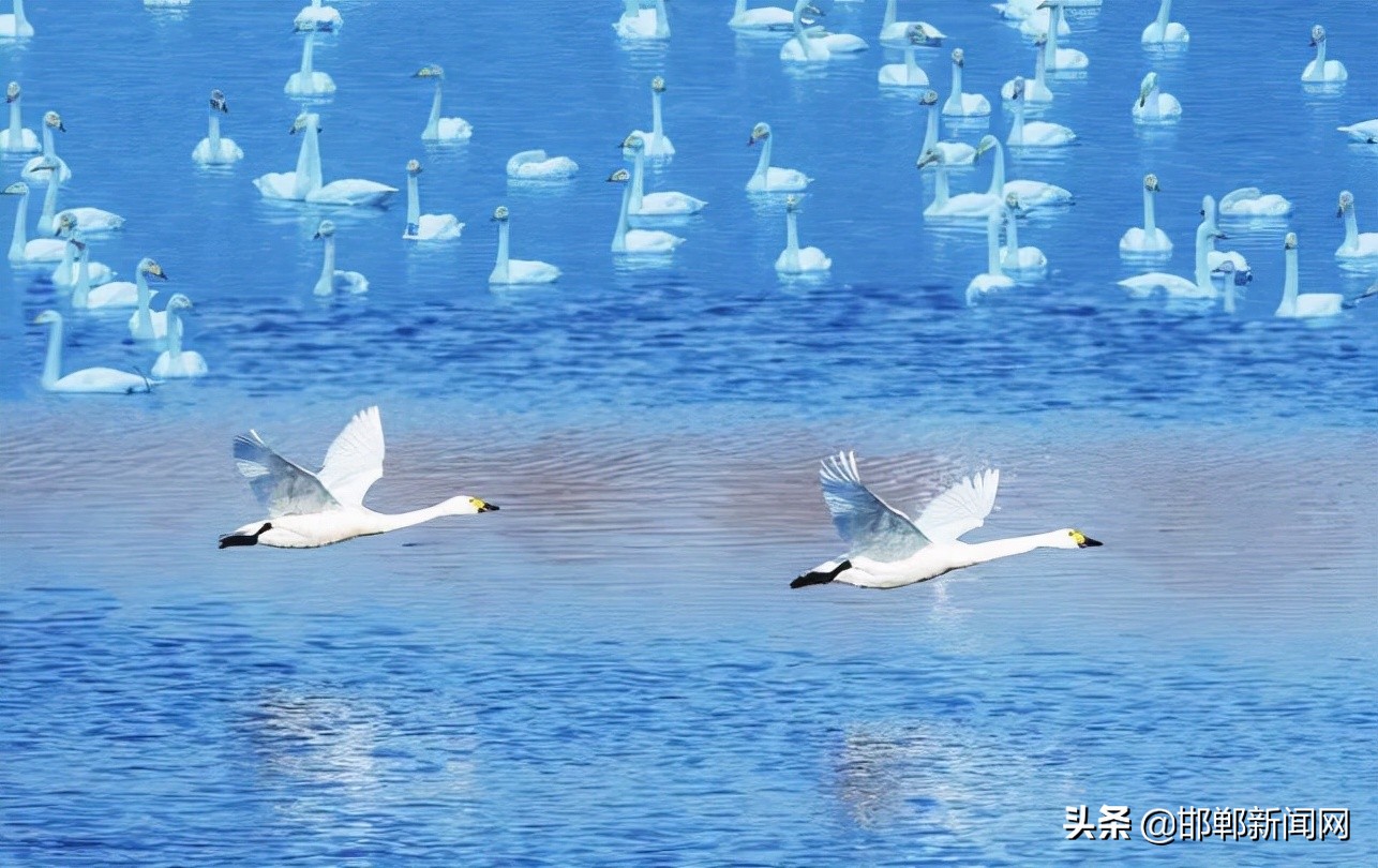 文明从每一件小事做起演讲稿,文明从点滴做起600字