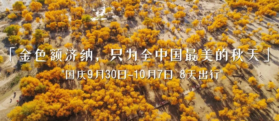 只要你面朝青海湖，八月依旧春暖花开