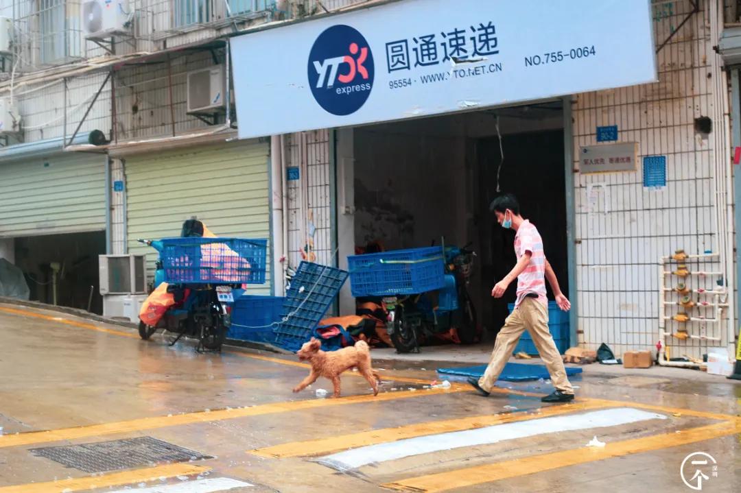 为啥珠光村房租便宜,深圳西丽珠光村房租如何