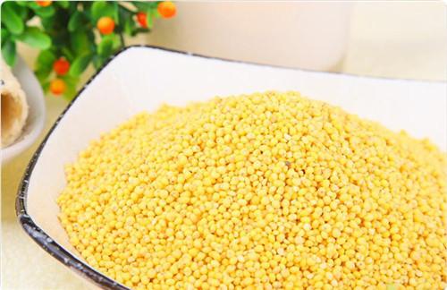 黄米红米绿米的区别,红米黑米饭区别