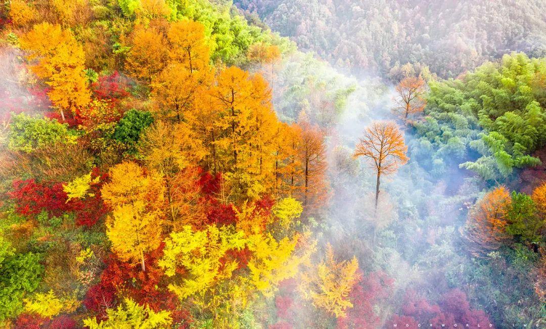 书藏古今港通天下,书藏古今港通天下央视