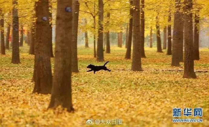 《生僻字》火遍全网，山东这些生僻地名怕是再也藏不住了！