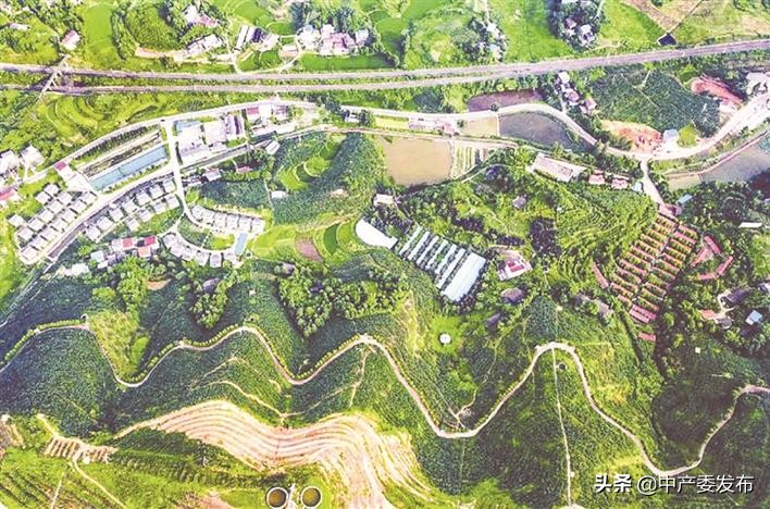 成城决战脱贫攻坚,举全镇之力打赢脱贫攻坚战