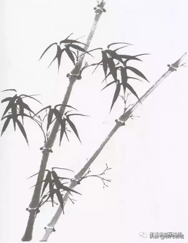 国画教程竹子的写意画法,国画写意竹子画法步骤