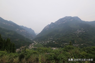 我和悬崖村的故事,我和北京小说