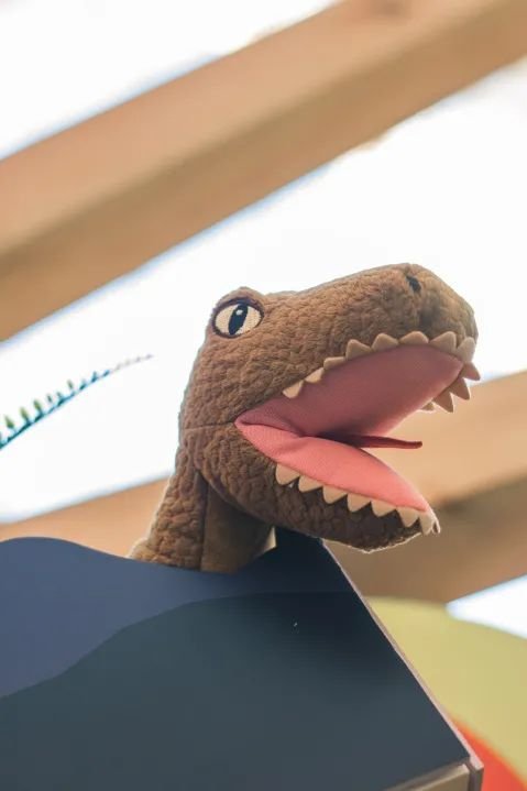 深圳宜家有什么好逛的,深圳宜家旅游攻略