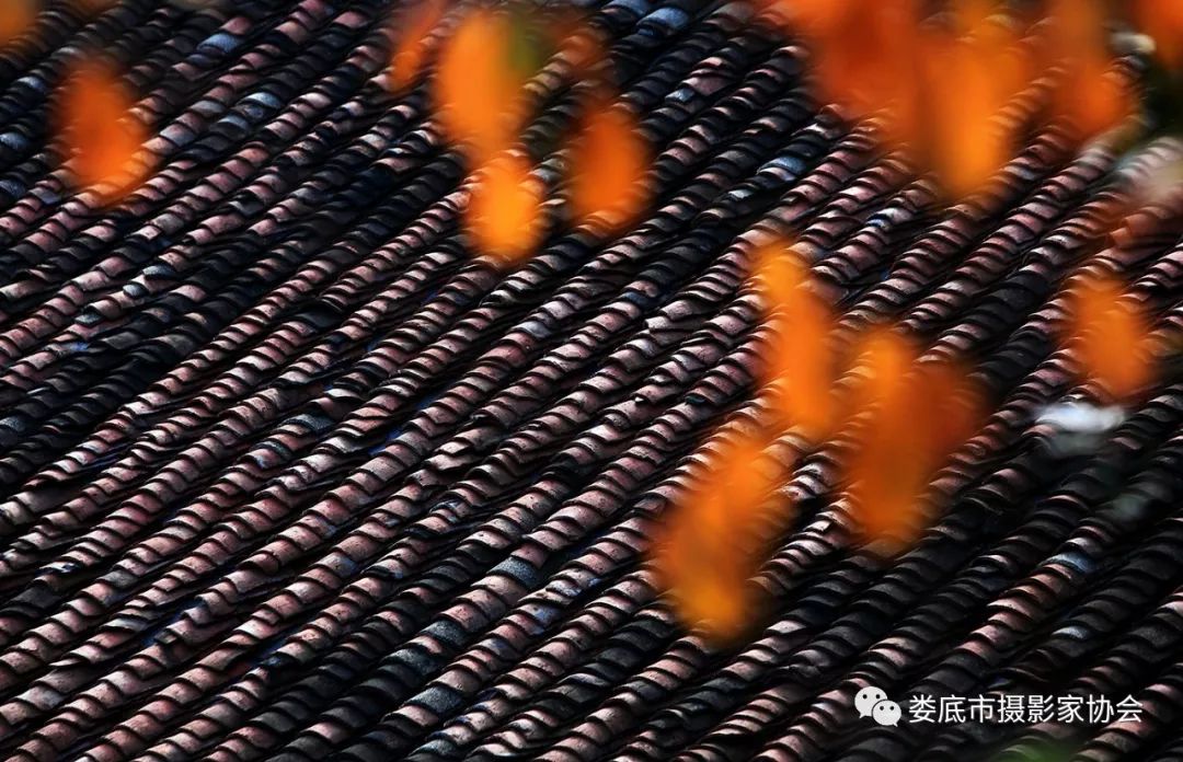 最新风景摄影小品欣赏,娄底景观小品