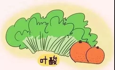 红兴隆妇幼保健院叶酸备孕,西北妇幼叶酸