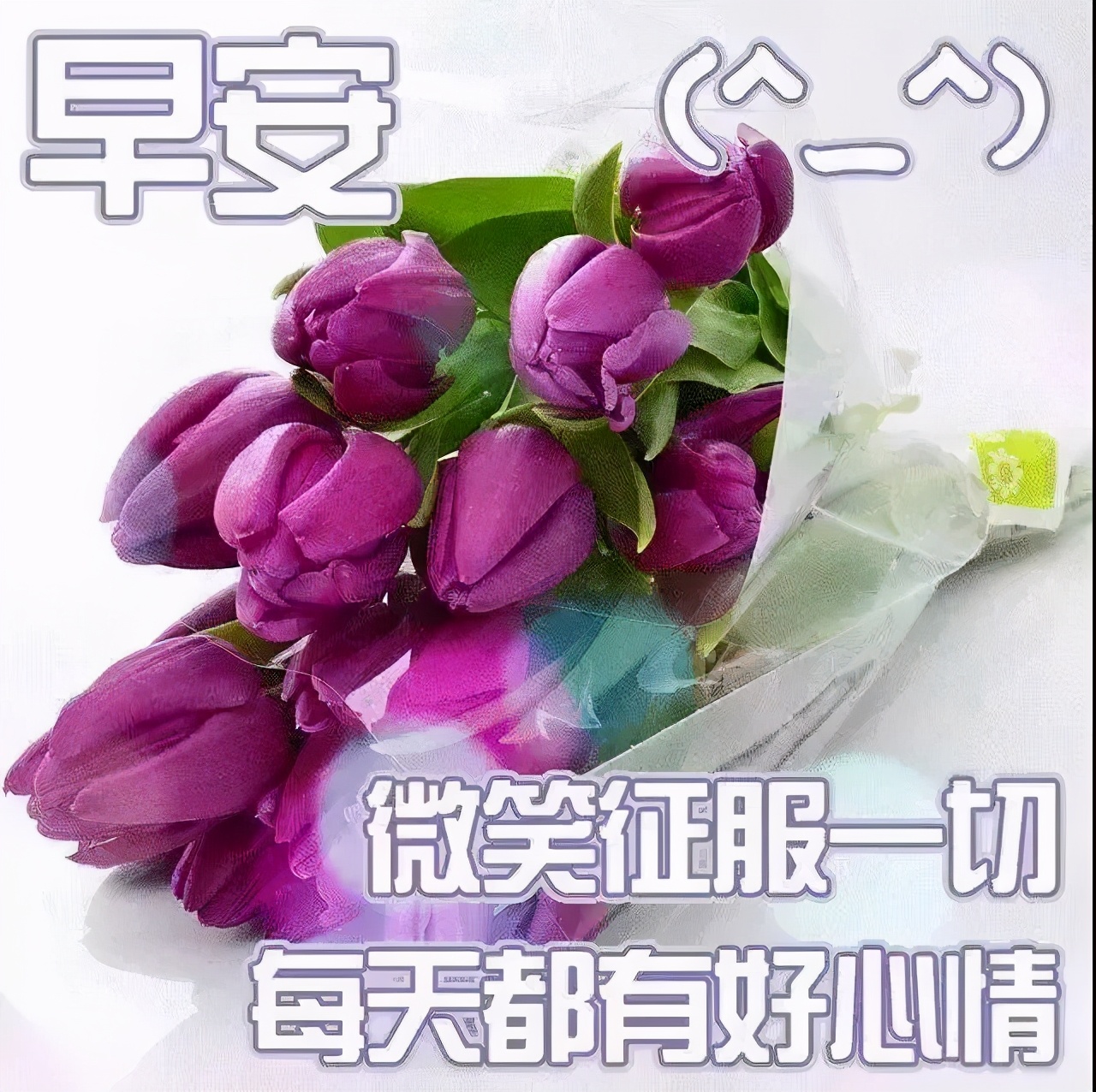 早安佛祖祝福带字美图,最新早安带字祝福图片