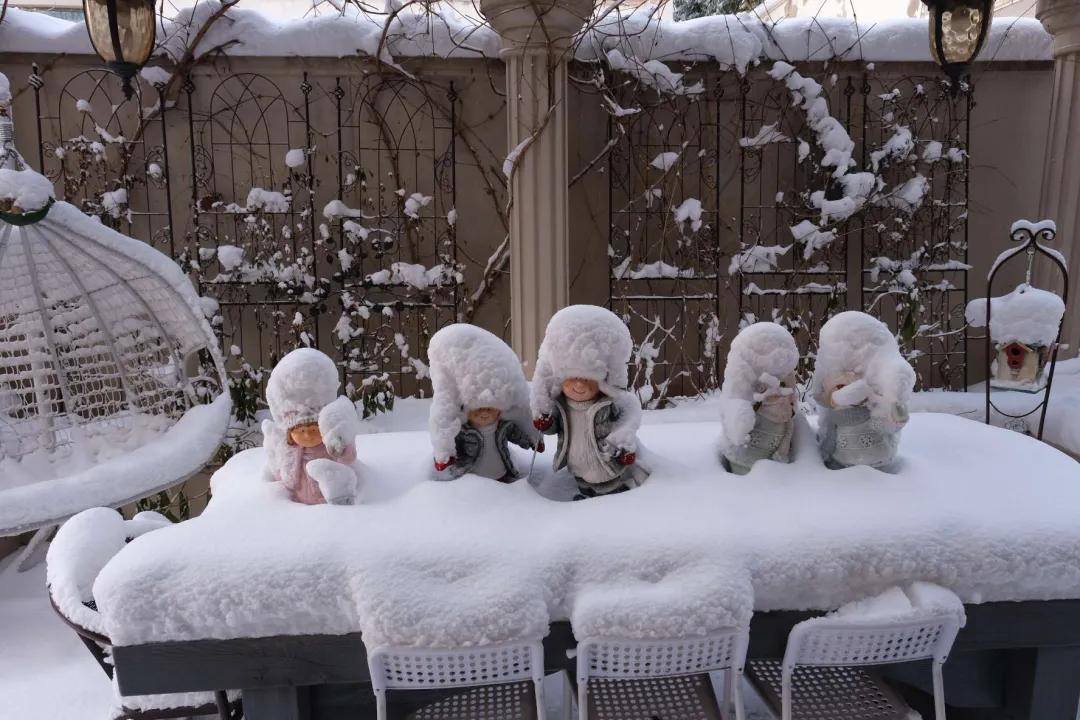 北方一年四季都开花的花园,东北花园四季开花植物