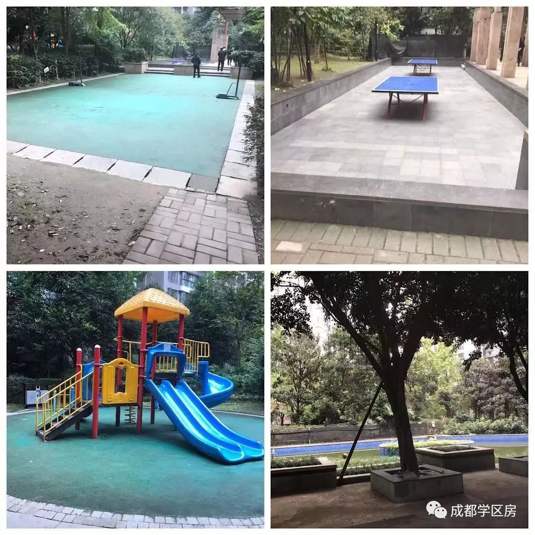 和泡小非常像的一个分校之最全盘点！​