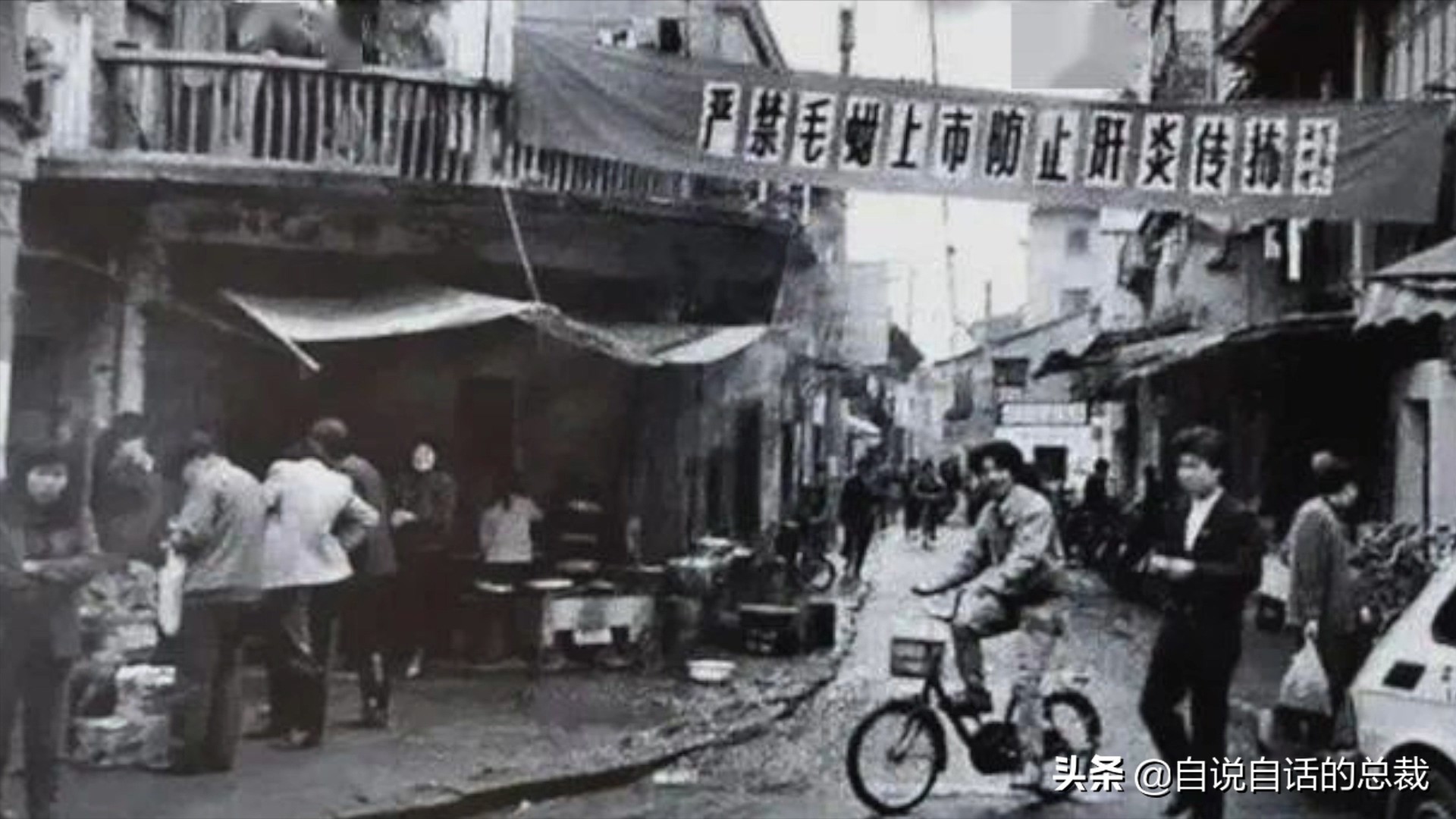 蛤、蚶、蛏、蚝、蚬有什么区别？这是一群美味海怪与人类的故事