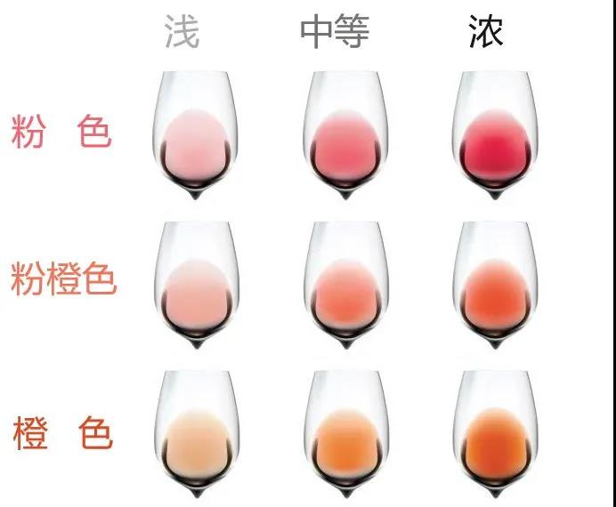 葡萄酒最常见的分类及英文词条,葡萄酒分类常见葡萄酒的品种大全