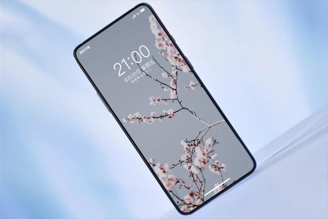 文艺素雅治愈植物手机壁纸,唯美治愈系手机壁纸植物