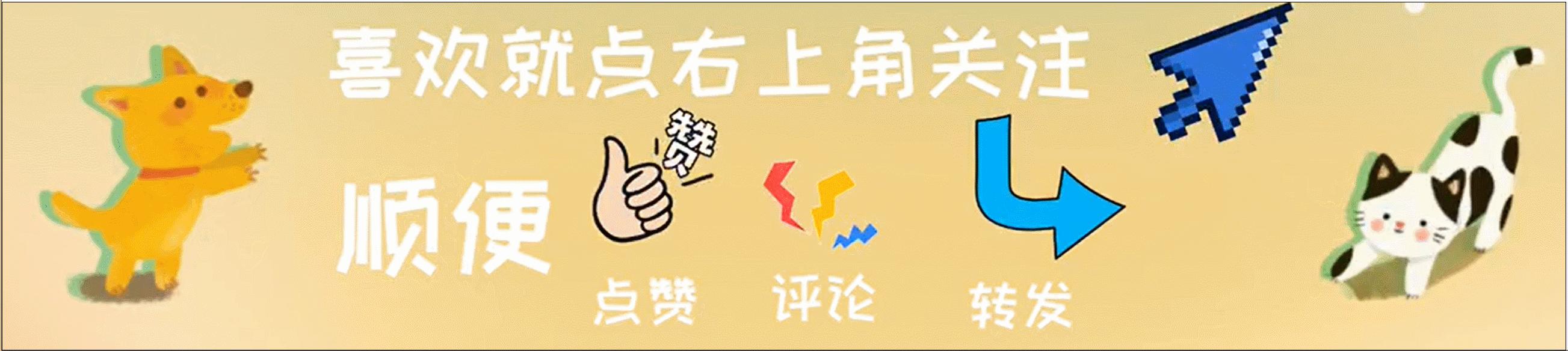 狗狗定点大小便晚上怎么办,狗狗会定点大小便