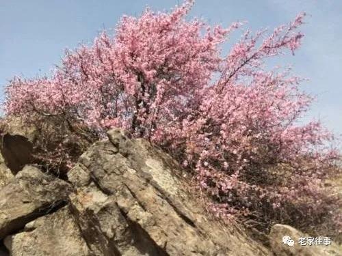 老家的印象和往事 (老家的印象介绍)