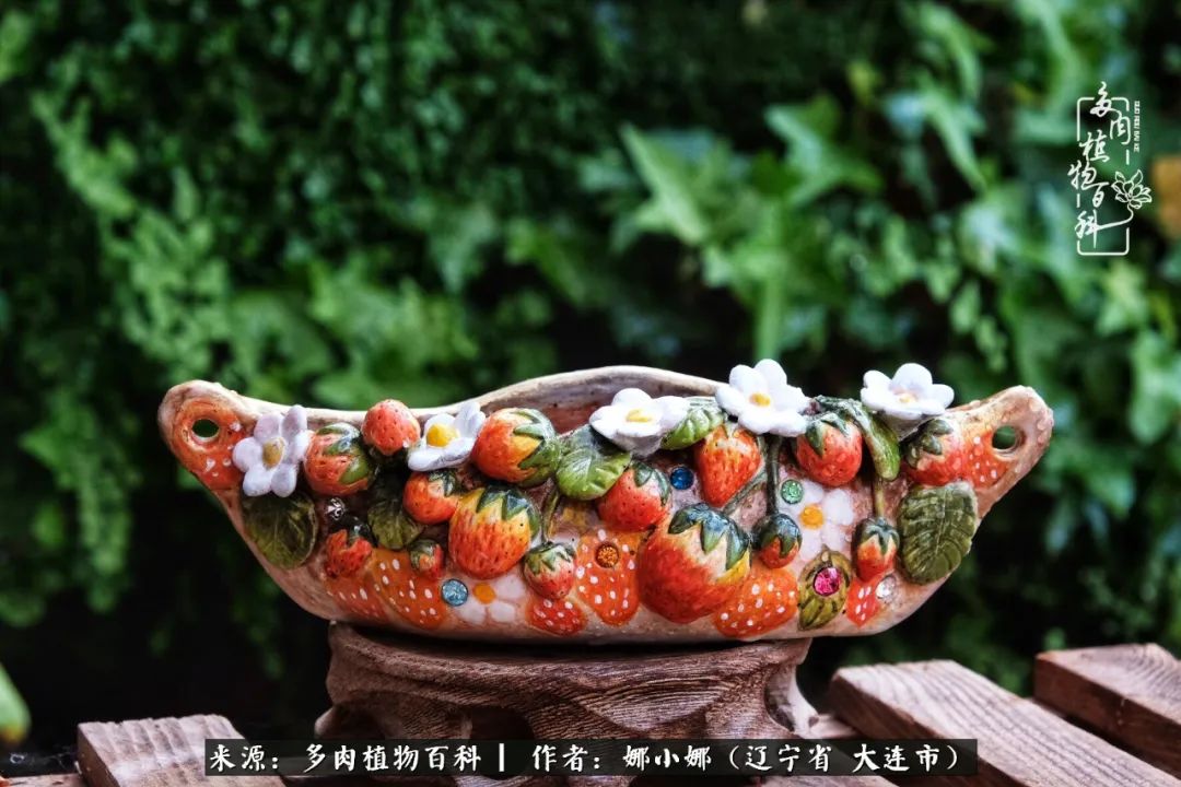 你是盆我是花，你护我周全，我为你绽放