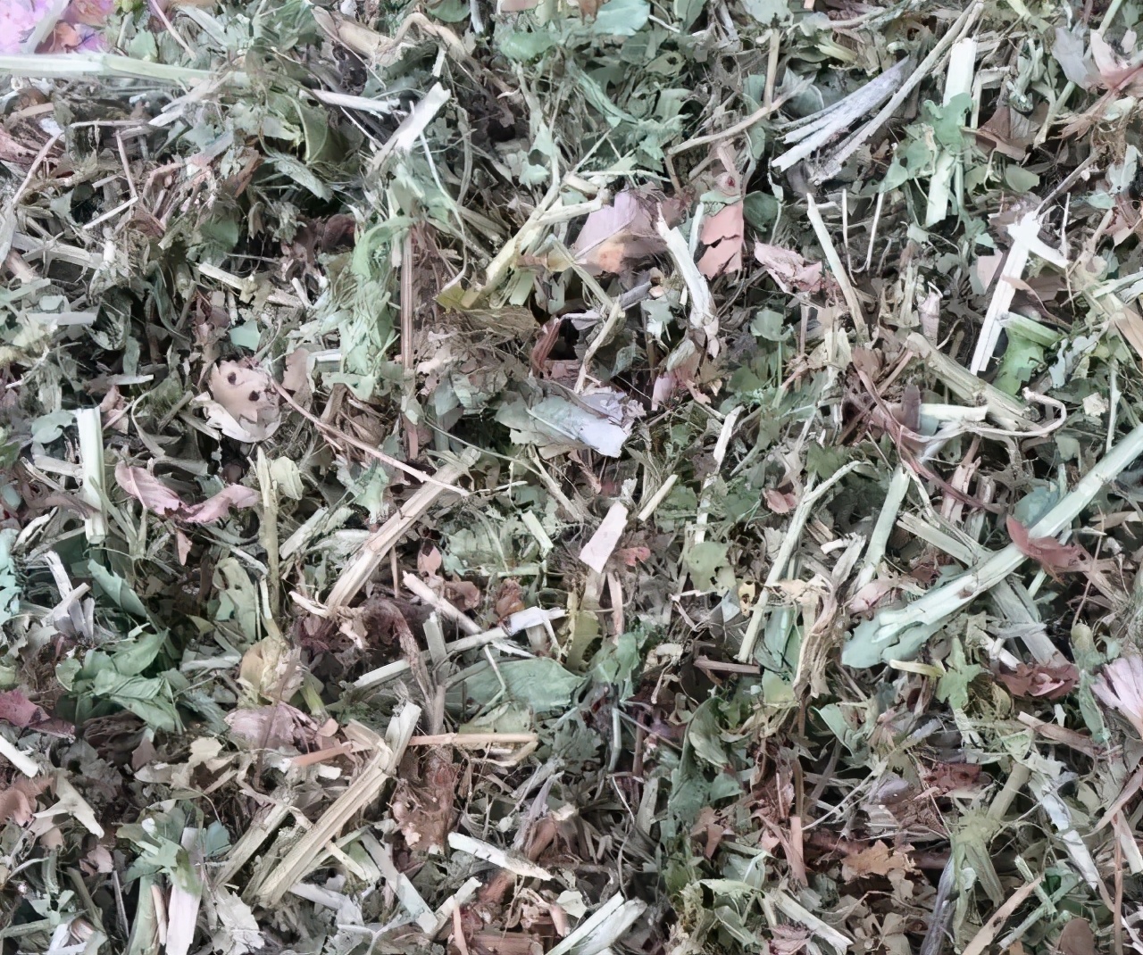 花生秧喂牛羊有什么好处？