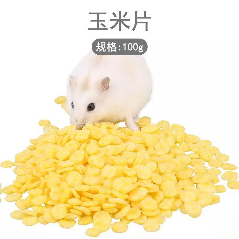 养仓鼠的必备品,养仓鼠的必备品有什么