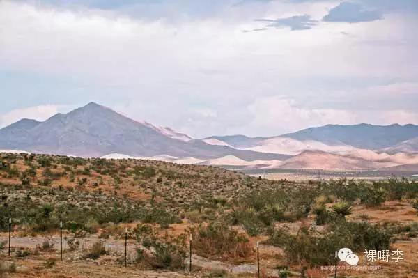 内华达淘金热潮,内华达州经济支柱