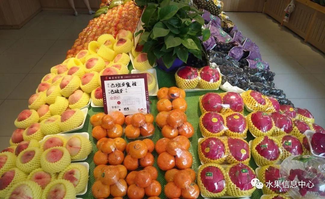 开水果店加盟好还是自己开好,不加盟自己开水果店需要多少钱