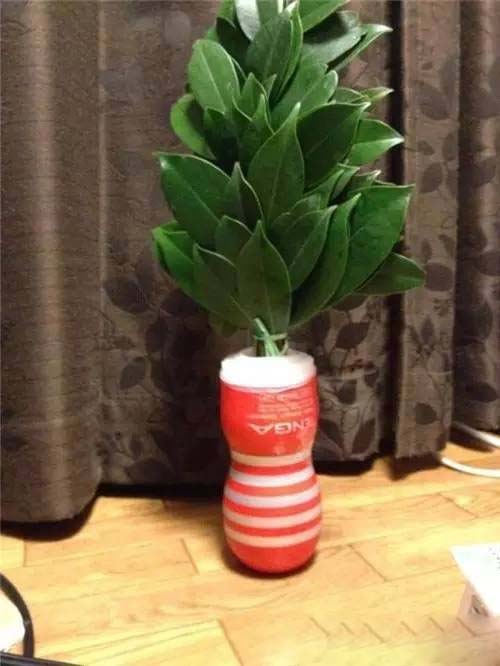 废弃的“飞机杯”应该怎么处理？强大的岛国网友教你变废为宝