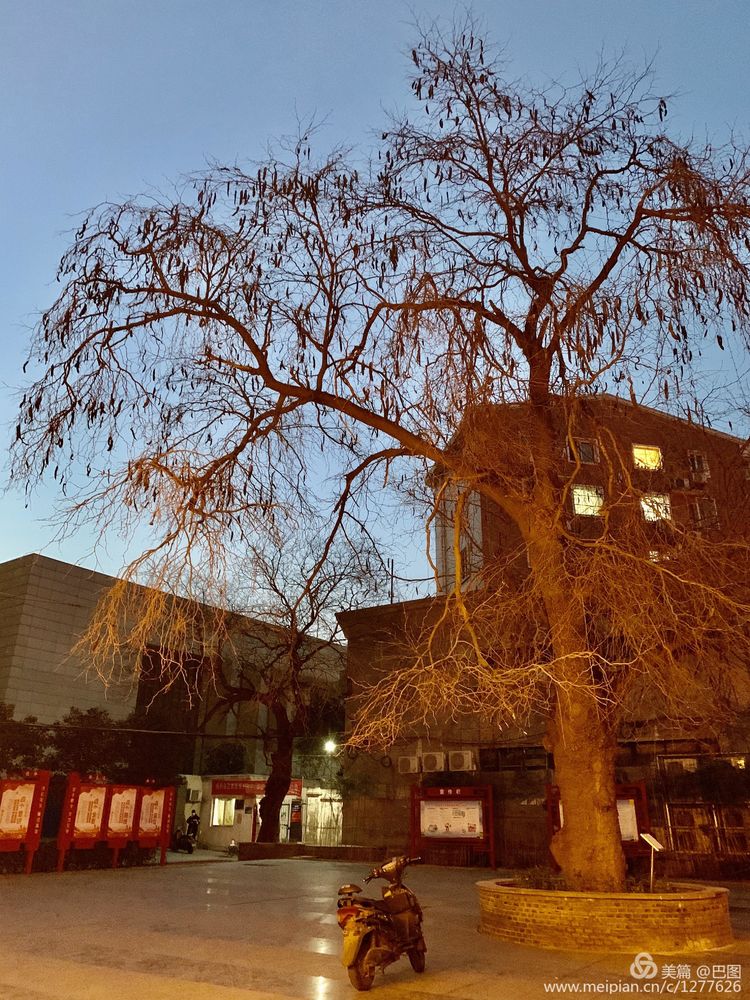 洛阳涧西路边街景,洛阳滨河北路图