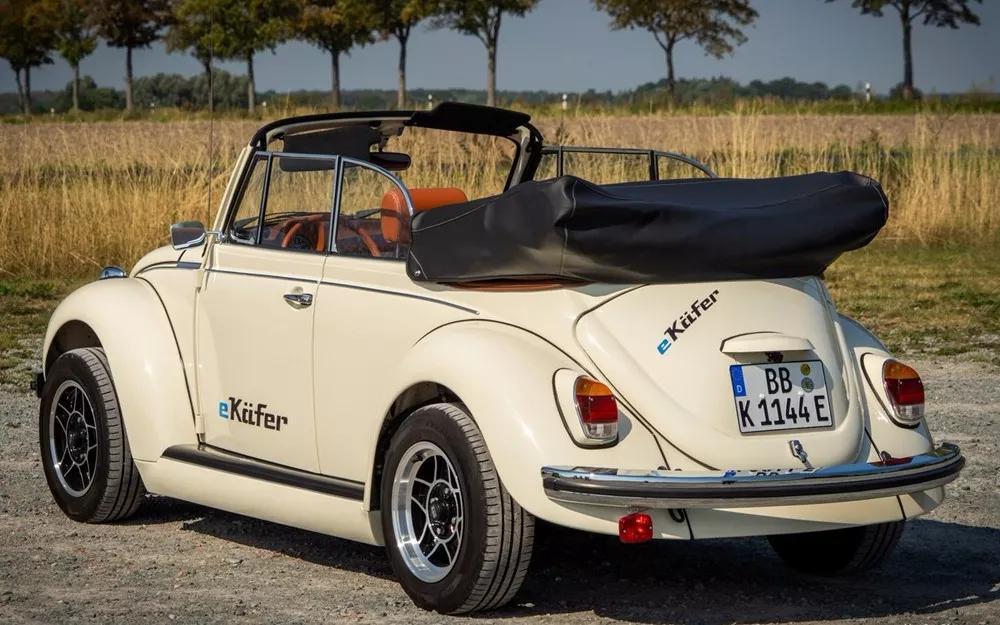 甲壳虫能彻底复活吗,造型奇特的甲壳虫