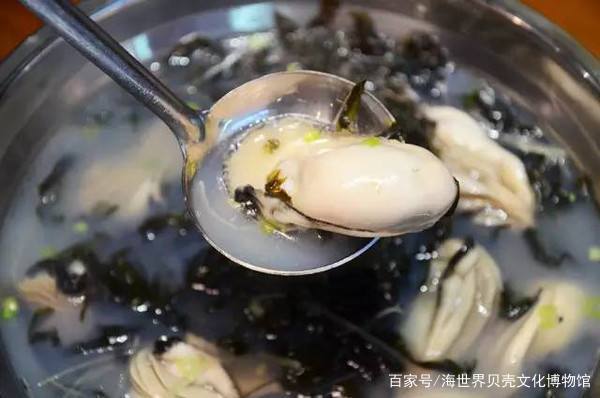 扒一扒那些在美食界乘风破浪的贝壳们
