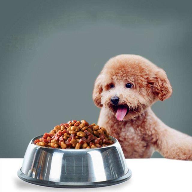 为什么说狗来富猪来穷,为啥说狗来富猫来穷